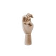 Wooden Hand HAY