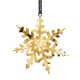 Christmas Star Rosendahl Group