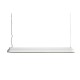 PC Linear HAY