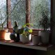 Planter SC 72 &Tradition