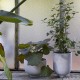 Planter SC 72 &Tradition