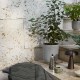 Planter SC 72 &Tradition