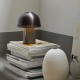 Raku SH8 &Tradition
