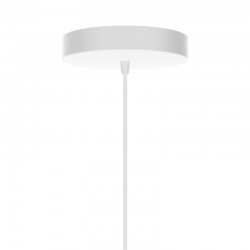 Rosette Canopy E27