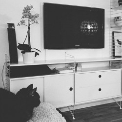 String System Mobile TV